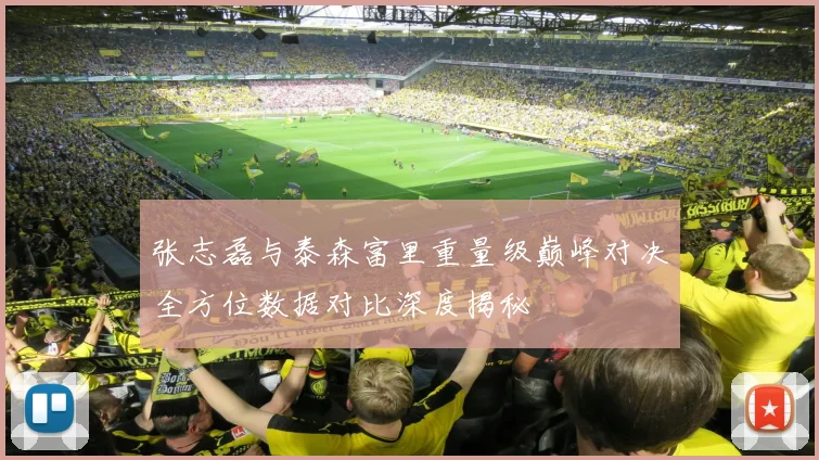 张志磊与泰森富里重量级巅峰对决全方位数据对比深度揭秘