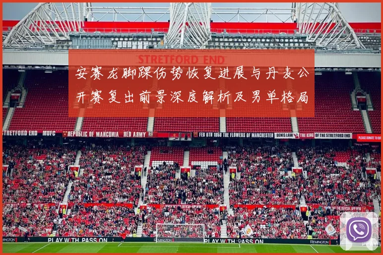 安赛龙脚踝伤势恢复进展与丹麦公开赛复出前景深度解析及男单格局影响