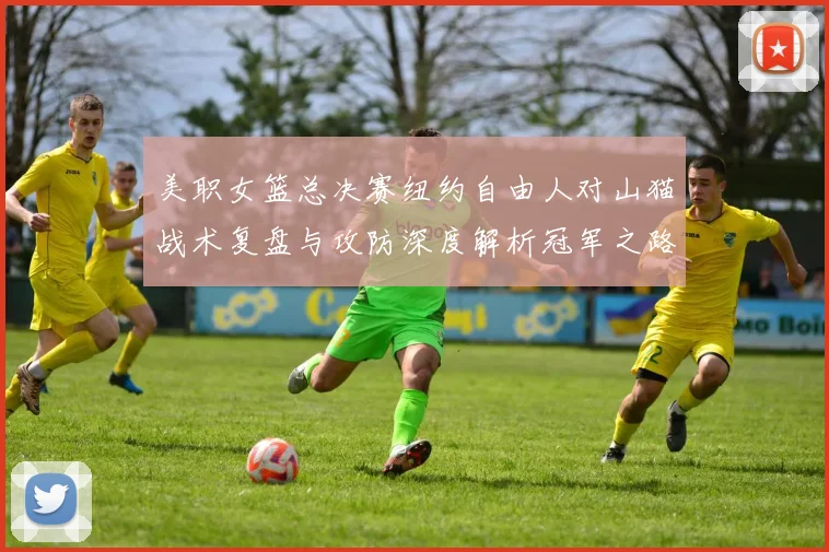 美职女篮总决赛纽约自由人对山猫战术复盘与攻防深度解析冠军之路