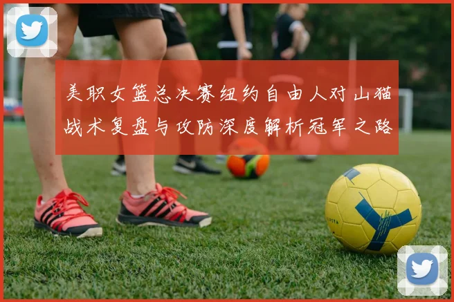 美职女篮总决赛纽约自由人对山猫战术复盘与攻防深度解析冠军之路