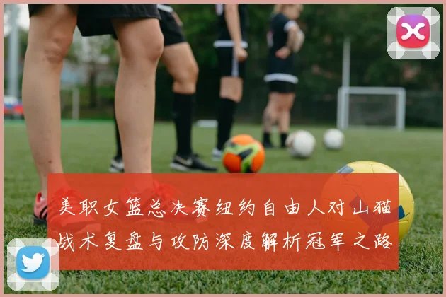 美职女篮总决赛纽约自由人对山猫战术复盘与攻防深度解析冠军之路