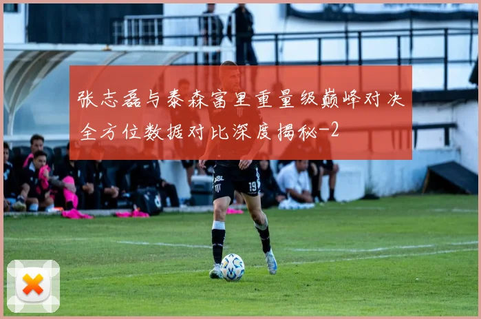 张志磊与泰森富里重量级巅峰对决全方位数据对比深度揭秘