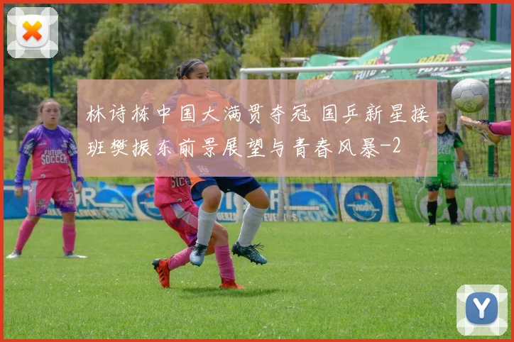 林诗栋中国大满贯夺冠 国乒新星接班樊振东前景展望与青春风暴